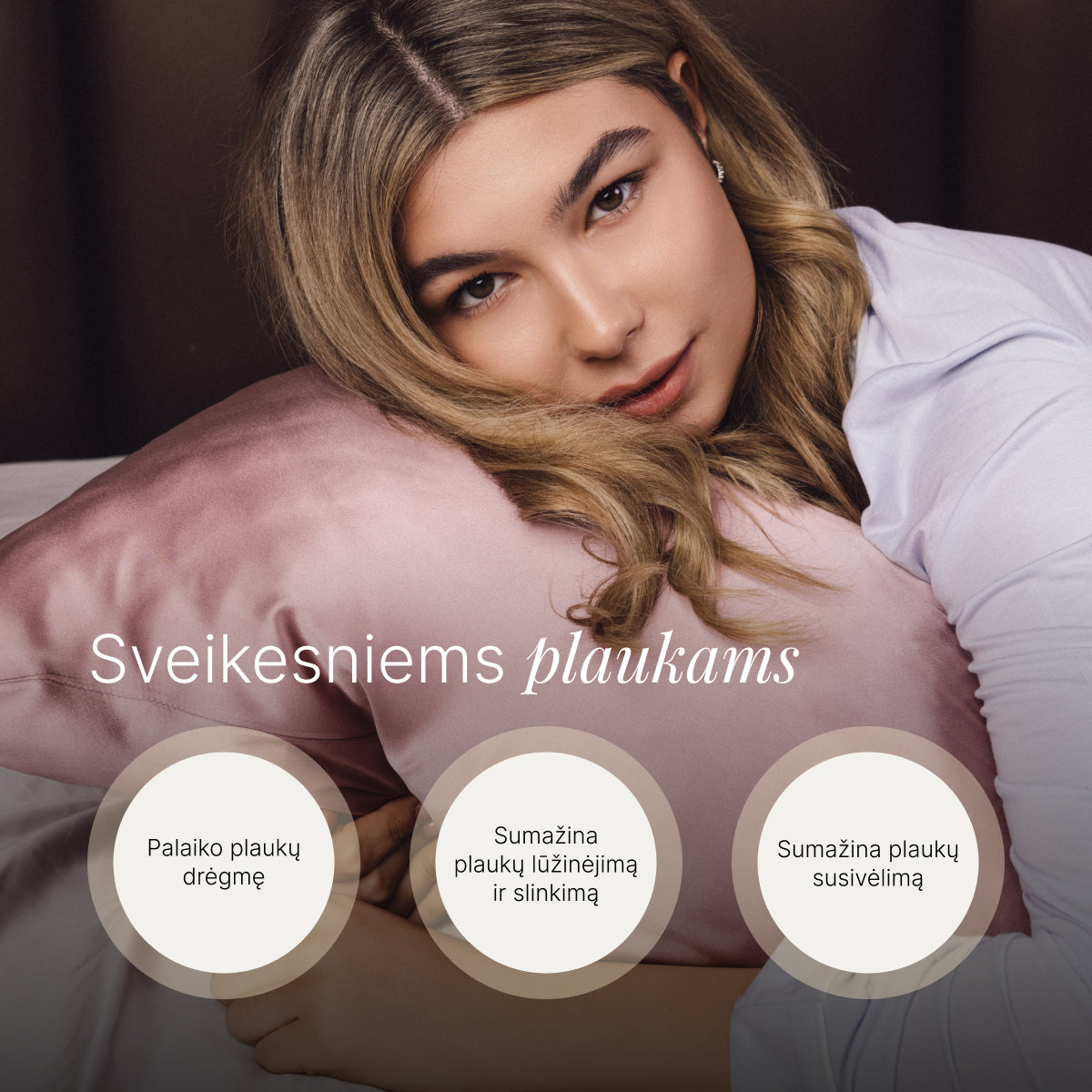 #spalva_lt_Pelenų rožė