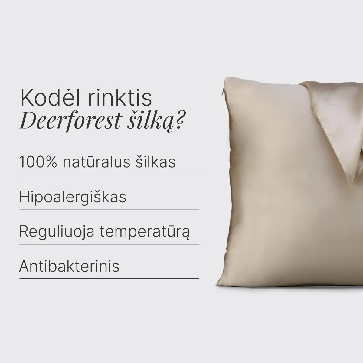 Šilkinio miego rinkinys (Netandartinis 51 x 76 cm)